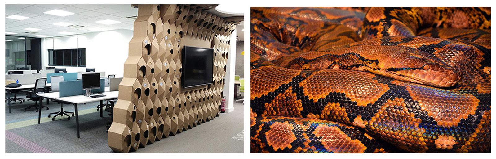 hexagonos cartonlab serpiente piel ecoembes carton