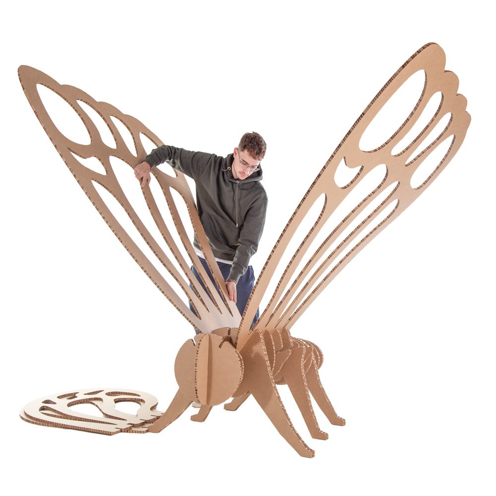 Mariposa gigante carton1